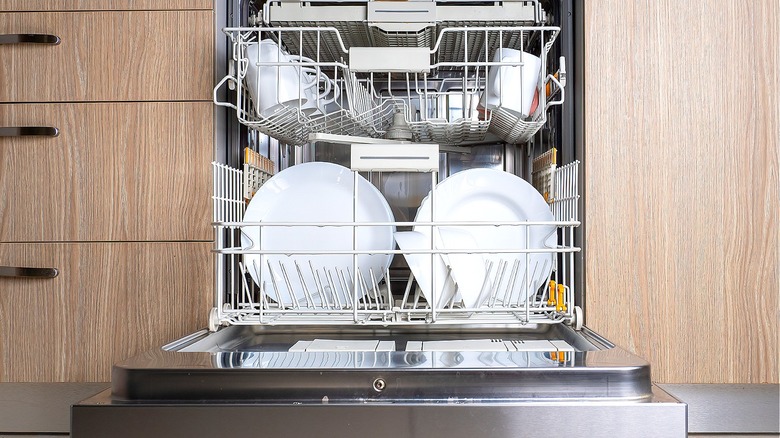 dishwasher-cleaner image